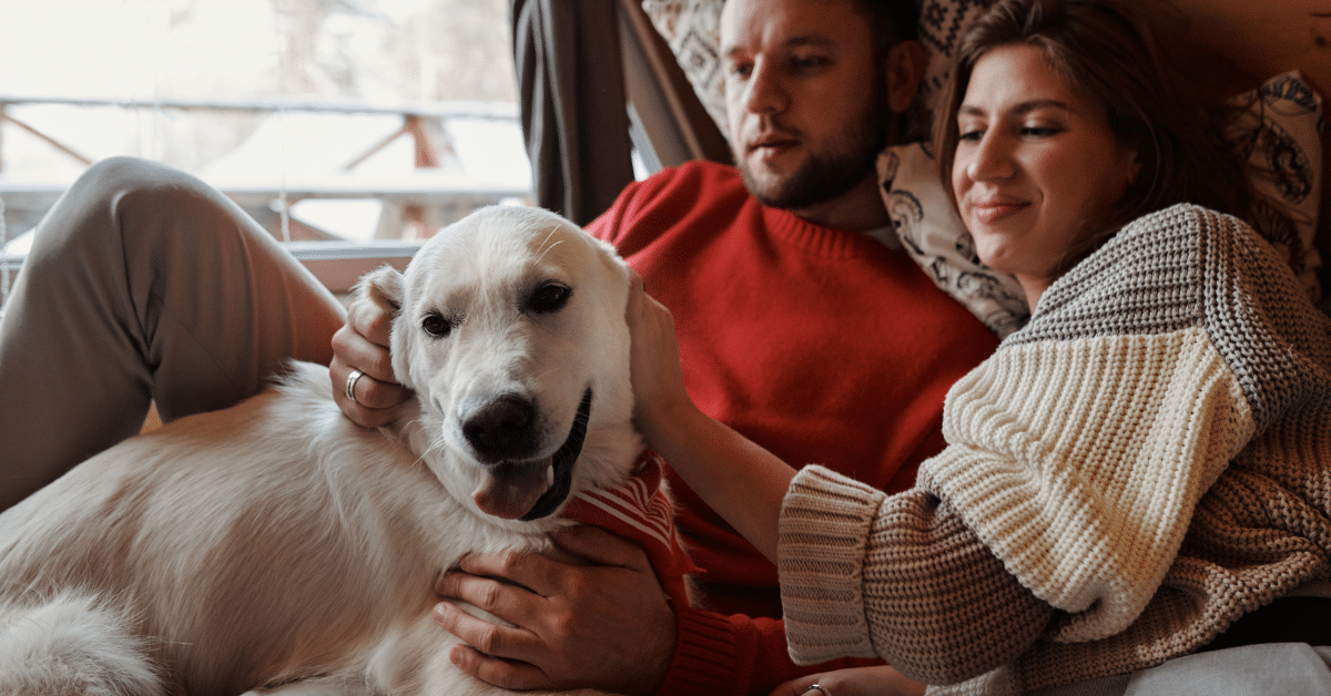 Lessons We Can Learn from Our Pets During the Holidays  