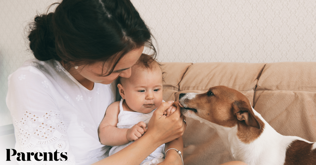 Why New Parents Sometimes Resent Their Pets—And What to Do About It