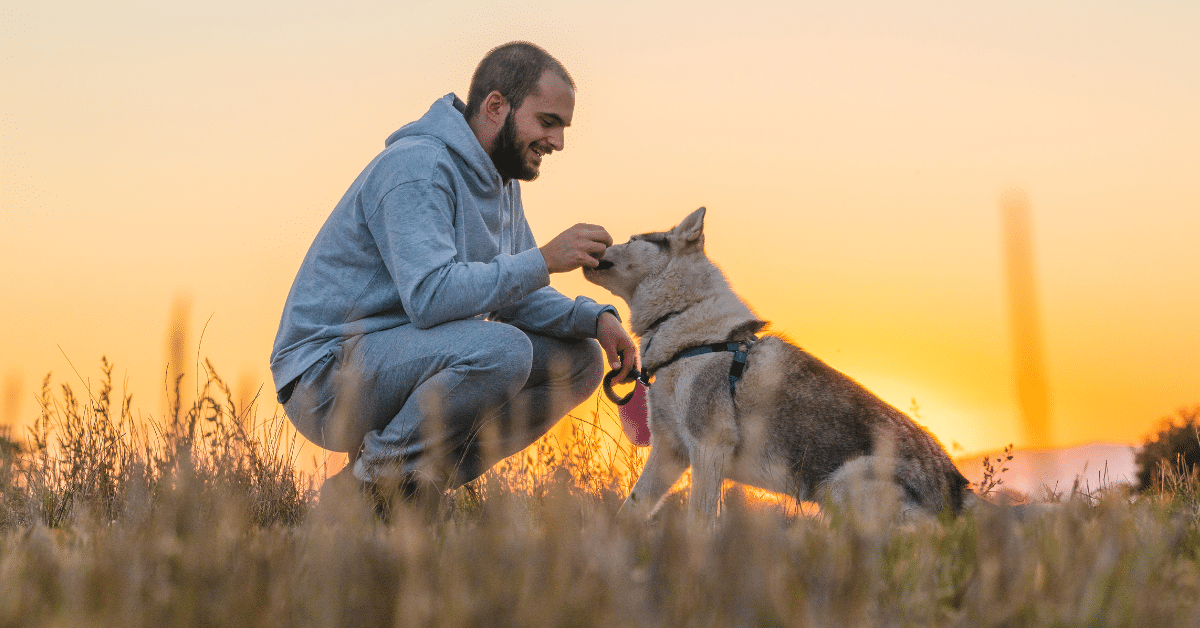 How Dogs Can Help with Depression | PrairieCare - Dog Eating Lawn Causing Depression