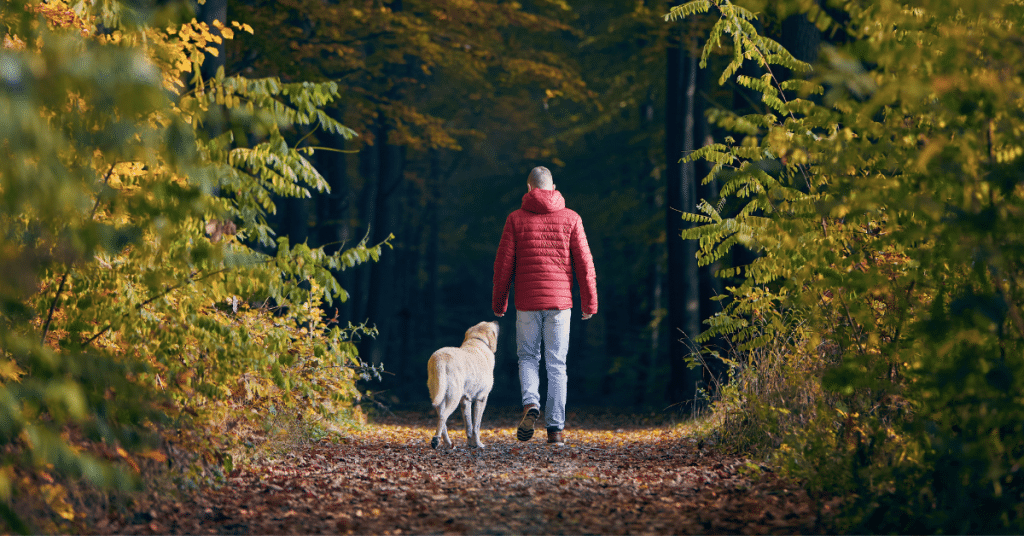 a man walking with dog coping with stages of trauma